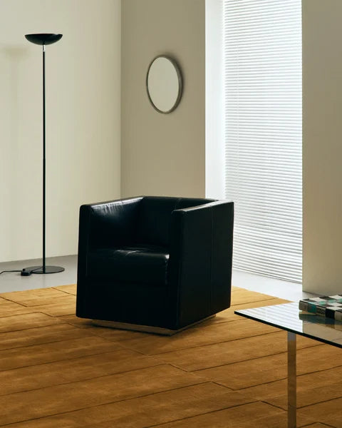 Light Brown Color Hand Tufted Leo Rug-Bisha Rugs