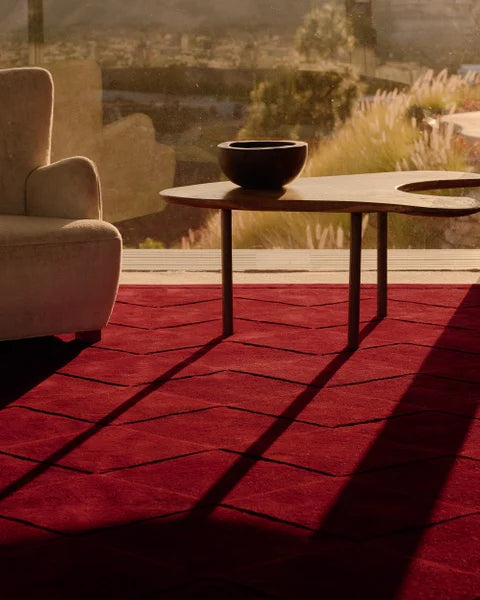 Deep Red Color Modern Hand Tufted Rug-Bisha Rugs