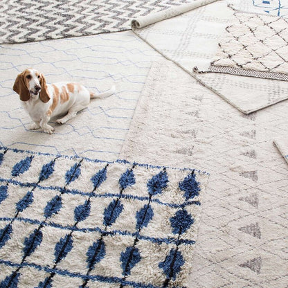 Noma Shag Wool Area Rug